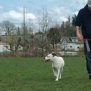 Meet your Posher, Kevin